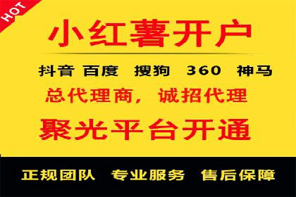 信息流广告投放策略：实战案例与效果评估